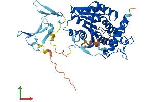 Protein Structure (PS) image for WW Domain Containing Oxidoreductase (WWOX) (AA 1-414) protein (His tag) (ABIN7556052)