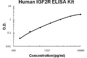 ELISA image for Insulin-Like Growth Factor 2 Receptor (IGF2R) ELISA Kit (ABIN2859333) (IGF2R ELISA 试剂盒)