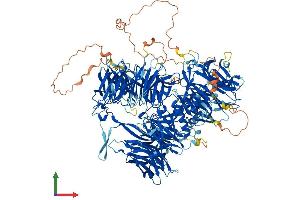 Protein Structure (PS) image for Cleavage and Polyadenylation Specific Factor 1, 160kDa (CPSF1) (AA 1-1443) protein (His tag) (ABIN7553554)