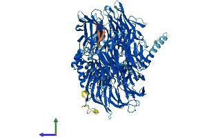 Protein Structure (PS) image for Splicing Factor 3b, Subunit 3, 130kDa (SF3B3) (AA 1-1217) protein (His tag) (ABIN7555422)