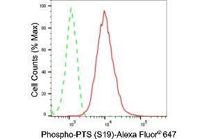 Flow cytometric analysis of Phospho-PTS (S19) expression in HepG2 cells using Phospho-PTS (S19) antibody (ABIN7797432), 1:2,000). (Recombinant PTS 抗体  (pSer19))