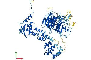 AlphaFold protein structure predicition of Mouse Recombinant Klhl30 Protein, UniprotID Q8C3F7