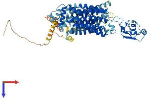 AlphaFold protein structure predicition of Human Recombinant SLC22A14 Protein, UniprotID Q9Y267