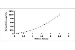 Transforming Growth Factor, beta 1 (TGFB1) ELISA Kit