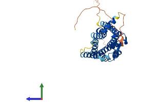 AlphaFold protein structure predicition of Mouse Recombinant Sstr5 Protein, UniprotID O08858