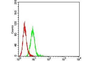 Flow Cytometry (FACS) image for anti-Chemokine (C-C Motif) Receptor 7 (CCR7) antibody (ABIN5611258)