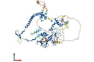 AlphaFold protein structure predicition of Human Recombinant EZH2 Protein, UniprotID Q15910