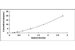 Typical standard curve (ErbB2/Her2 ELISA 试剂盒)