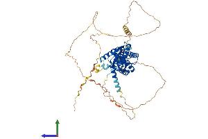 Protein Structure (PS) image for Calcium Channel, Voltage-Dependent, beta 1 Subunit (CACNB1) (AA 1-598) protein (His tag) (ABIN7552891)