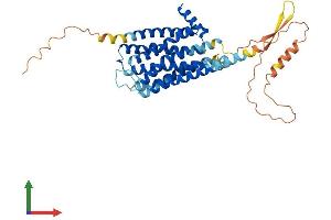 Protein Structure (PS) image for Dopamine Receptor D3 (DRD3) (AA 1-400) protein (His tag) (ABIN7547211)