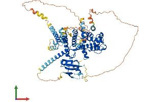 Protein Structure (PS) image for rho GTPase Activating Protein 18 (ARHGAP18) (AA 1-663) protein (His tag) (ABIN7564617)