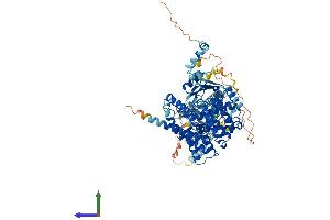 Protein Structure (PS) image for phosphodiesterase 5A, cGMP-Specific (PDE5A) (AA 1-865) protein (His tag) (ABIN7564563)