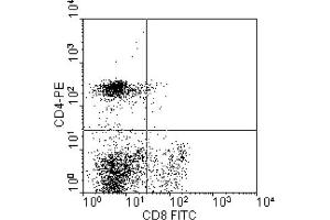 Flow Cytometry (FACS) image for anti-CD8 (CD8) antibody (FITC) (ABIN371298) (CD8 抗体  (FITC))