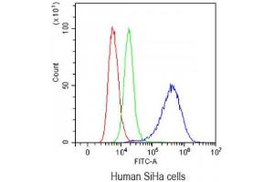 Flow cytometry testing of human SiHa cells with Mesothelin antibody at 1ug/10^6 cells (blocked with goat sera) (Mesothelin 抗体  (AA 306-576))