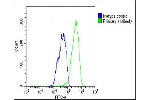 Overlay histogram showing HepG2 cells stained with (ABIN1538142 and ABIN2848639)(green line). (Selenoprotein P 抗体  (AA 233-262))