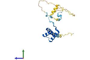 Protein Structure (PS) image for HESX Homeobox 1 (HESX1) (AA 1-185) protein (His tag) (ABIN7557725)