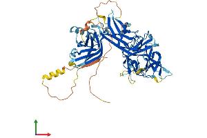 Protein Structure (PS) image for Recombination Signal Binding Protein For Immunoglobulin kappa J Region-Like (RBPJL) (AA 1-517) protein (His tag) (ABIN7551242)