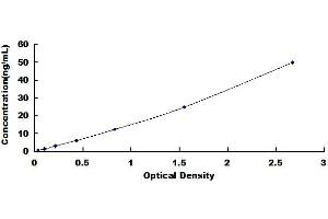 Typical standard curve (CYP2E1 ELISA 试剂盒)