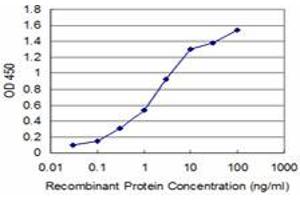 Detection limit for recombinant GST tagged BOLL is approximately 0. (BOLL 抗体  (AA 185-283))