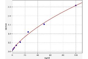 Typical standard curve (Acetyl-CoA Carboxylase ELISA 试剂盒)