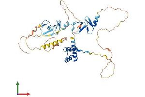 Protein Structure (PS) image for LIM Homeobox 9 (LHX9) (AA 1-397) protein (His tag) (ABIN7549043)
