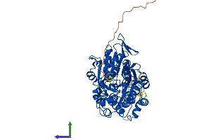 Protein Structure (PS) image for Glycerate Kinase (GLYCTK) (AA 1-523) protein (His tag) (ABIN7559605)