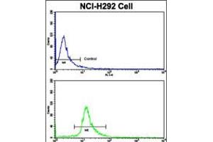 Flow cytometric analysis of NCI-H292 cells using ELP2 Antibody (bottom histogram) compared to a negative control cell (top histogram). (ELP2 抗体  (C-Term))