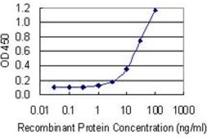 Detection limit for recombinant GST tagged POLRMT is 0. (POLRMT 抗体  (AA 1121-1230))