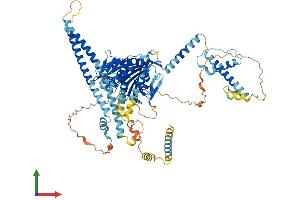 Protein Structure (PS) image for Kinesin Family Member 9 (KIF9) (AA 1-790) protein (His tag) (ABIN7548815)
