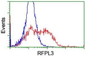 HEK293T cells transfected with either RC206518 overexpress plasmid (Red) or empty vector control plasmid (Blue) were immunostained by anti-RFPL3 antibody (ABIN2455787), and then analyzed by flow cytometry. (RFPL3 抗体)