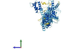 Protein Structure (PS) image for Cullin 2 (CUL2) (AA 1-745) protein (His tag) (ABIN7553611)