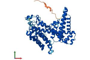 Protein Structure (PS) image for Membrane Bound O-Acyltransferase Domain Containing 7 (MBOAT7) (AA 1-472) protein (His tag) (ABIN7554481)