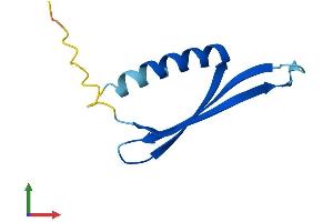 Protein Structure (PS) image for COMM Domain Containing 6 (COMMD6) (AA 1-85) protein (Fc Tag) (ABIN7546628)