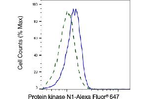 Validation of Protein kinase N1 knockdown using flow cytometry. (Recombinant PKN1 抗体)