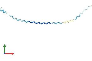 Protein Structure (PS) image for Small Proline-Rich Protein 2B (SPRR2B) (AA 1-72) protein (Fc Tag) (ABIN7546204)