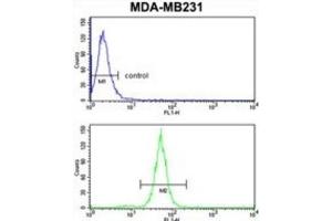 Flow Cytometry (FACS) image for anti-Trans-Golgi Network Protein 2 (TGOLN2) antibody (ABIN3003981) (TGOLN2 抗体)