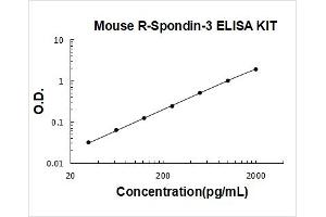 R-Spondin 3 (RSPO3) ELISA Kit