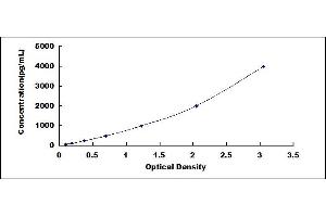 Typical standard curve (HMGB1 ELISA 试剂盒)