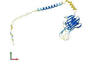 Protein Structure (PS) image for Tumor Necrosis Factor (Ligand) Superfamily, Member 14 (TNFSF14) (AA 1-239) protein (His tag) (ABIN7561790)