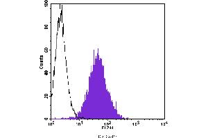 Flow Cytometry (FACS) image for anti-Endoglin (ENG) antibody (PE) (ABIN2144990) (Endoglin 抗体  (PE))