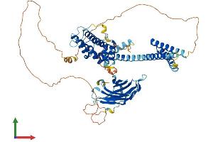 Protein Structure (PS) image for Golgi-Associated, gamma Adaptin Ear Containing, ARF Binding Protein 2 (GGA2) (AA 1-613) protein (His tag) (ABIN7547974)