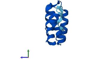 Protein Structure (PS) image for Acyl-CoA Binding Domain Containing 7 (ACBD7) (AA 1-88) protein (Fc Tag) (ABIN7560900)