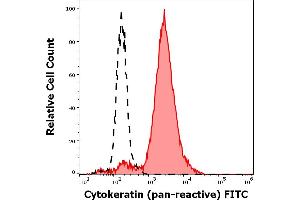 Separation of HeLa cells (red-filled) stained using anti-Cytokeratins (C-11) FITC antibody (concentration in sample 3 μg/mL) from unstained HeLa cells (black-dashed) in flow cytometry analysis (intracellular staining). (pan Keratin 抗体  (FITC))
