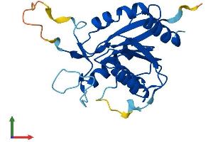 AlphaFold protein structure predicition of Mouse Recombinant Ovca2 Protein, UniprotID Q9D7E3