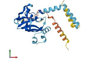 Protein Structure (PS) image for Lecithin Retinol Acyltransferase (Phosphatidylcholine--Retinol O-Acyltransferase) (LRAT) (AA 1-231) protein (His tag) (ABIN7561532)