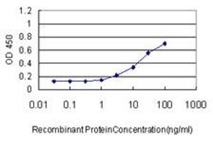 Detection limit for recombinant GST tagged SERPINE1 is approximately 0. (PAI1 抗体  (AA 86-185))