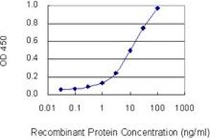 Detection limit for recombinant GST tagged PHYH is 0. (PHYH 抗体  (AA 1-338))