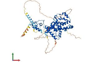 Protein Structure (PS) image for RAR-Related Orphan Receptor C (RORC) (AA 1-516) protein (His tag) (ABIN7563381)