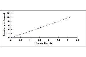 Typical standard curve (SGSH ELISA 试剂盒)