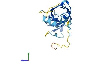AlphaFold protein structure predicition of Human Recombinant ERVK-7 Protein, UniprotID P63131